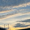BeReal　交流会
