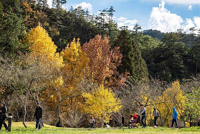 ▲武陵農場。（圖／武陵農場FB粉絲專頁）