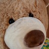お腹が弱い人！集まれー！