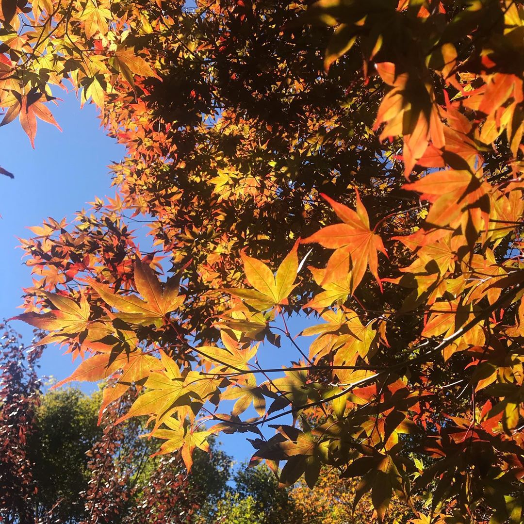 福壽山 @qihongzhao79351