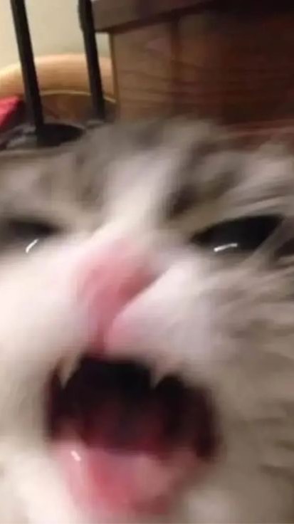 มาคุยเล่นง้าบบ(24hours)🧸💢