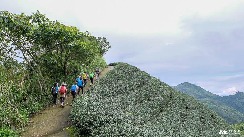 山女孩Melissa_雲嘉七連峰_獨立山_大籠頂_太平山_梨子腳山-7784.jpg