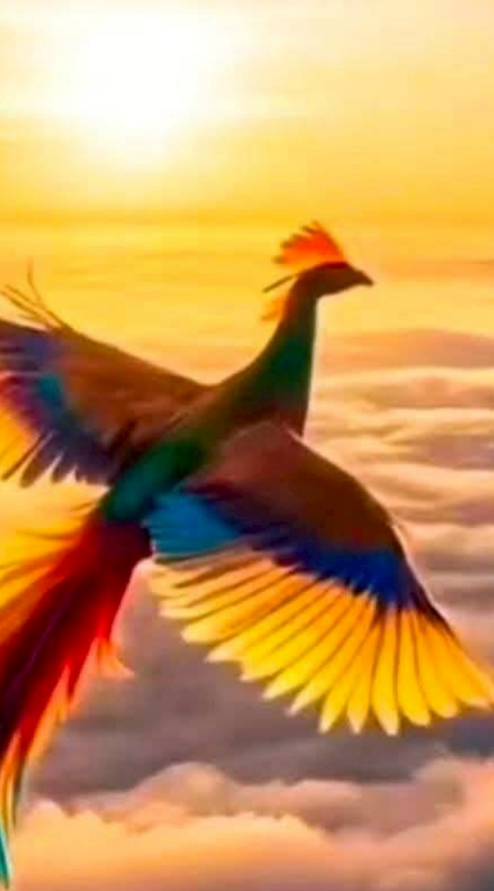 香港開幕表揚暨珠海考察