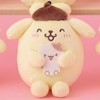 T.T代購選品🇯🇵日本🇰🇷韓國