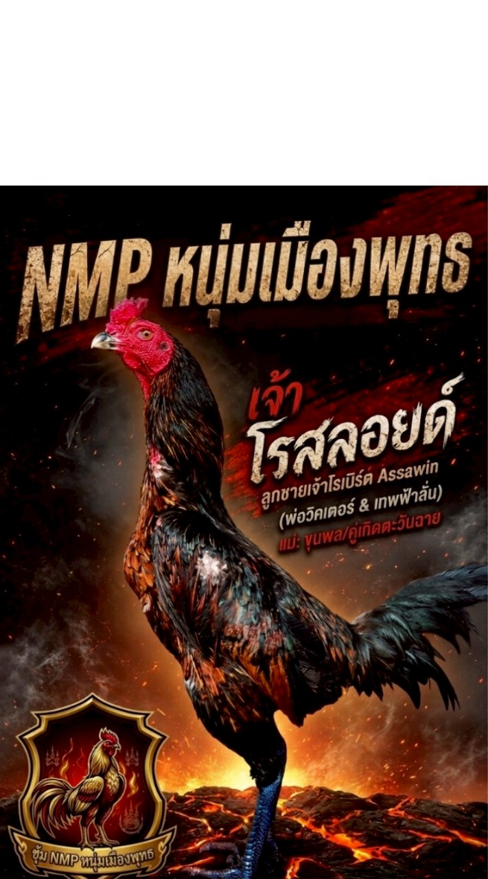 ซุ้ม NMP หนุ่มเมืองพุทธ