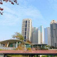 台中西屯大小事