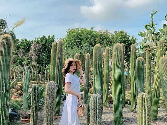 照片來源：IG @t135792003