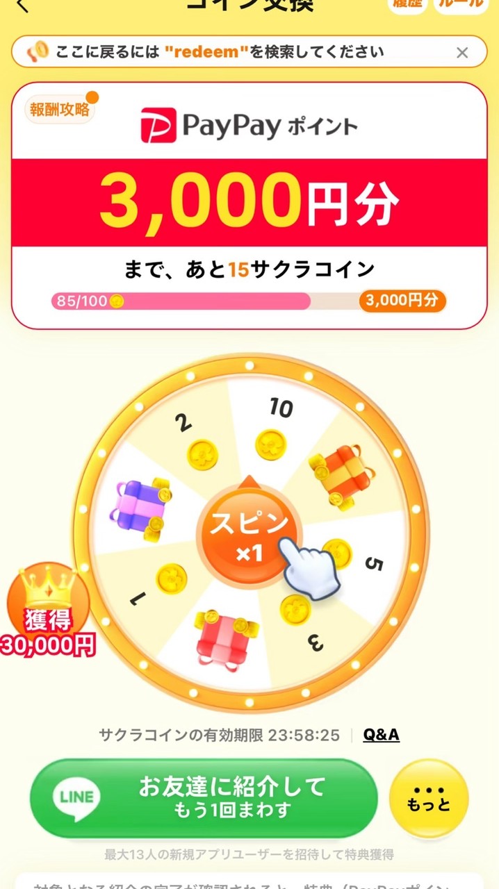 TEMUをする