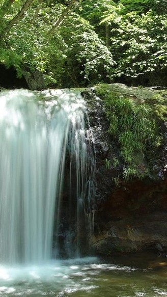 茅野市のお店応援｜Web・SNS活用と集客の「困った」解決広場