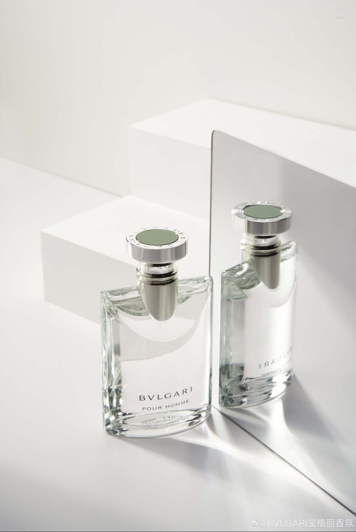 男星同款香水推薦：楊洋-BVLGARI 經典大吉嶺茶中性淡香水