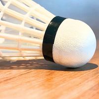 舊羽新知(平日12-15)