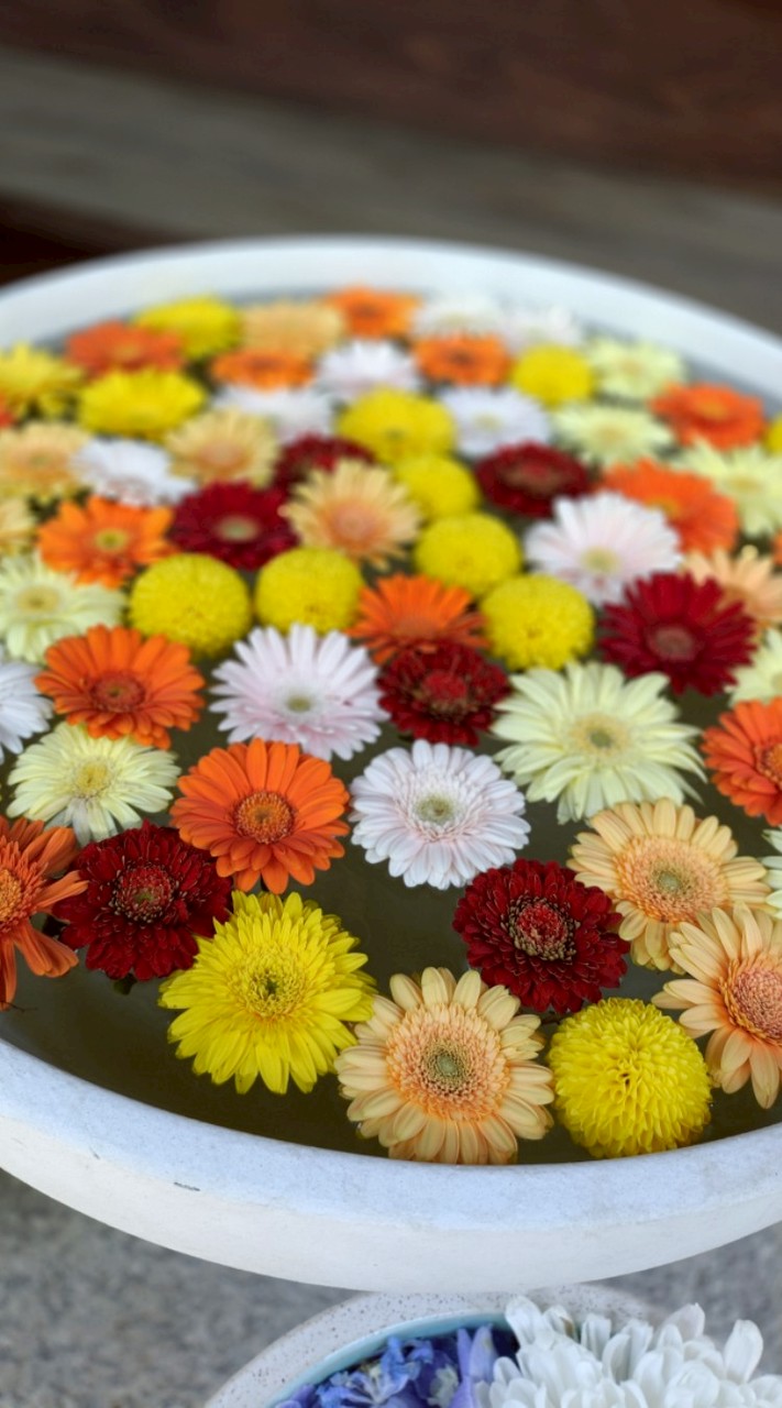 運動会連絡用