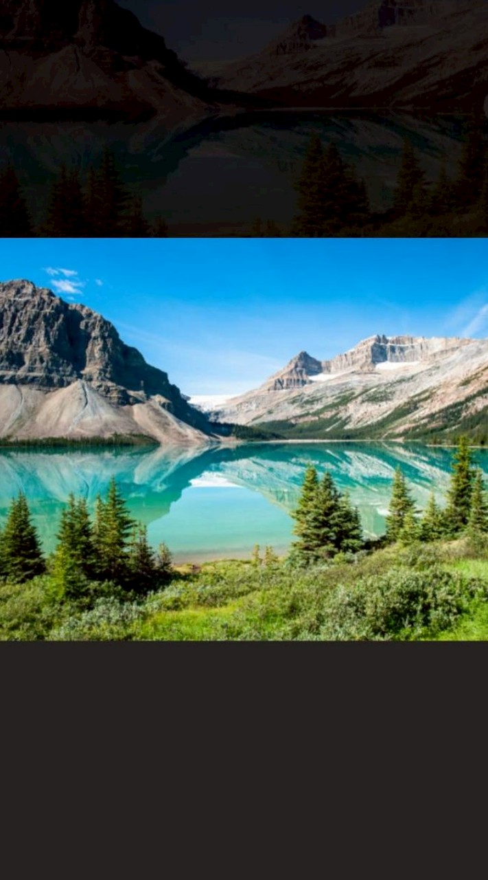 写真を見せてください！