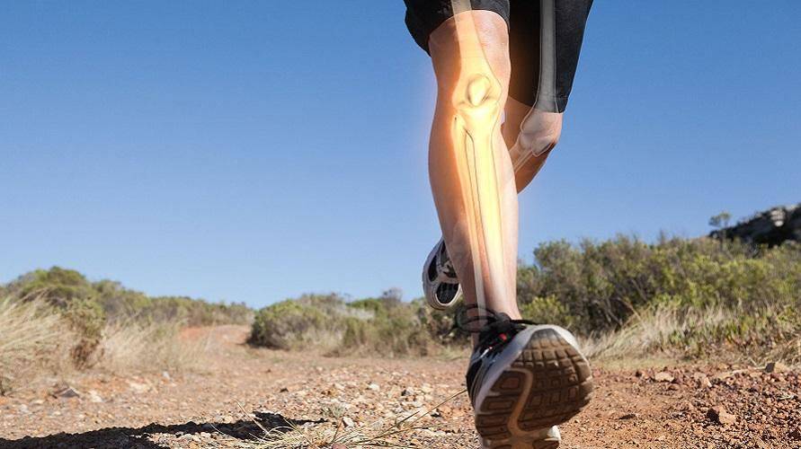 Tulang Pipa Jenis Fungsi Gambar Dan Struktur Sehatq Line Today