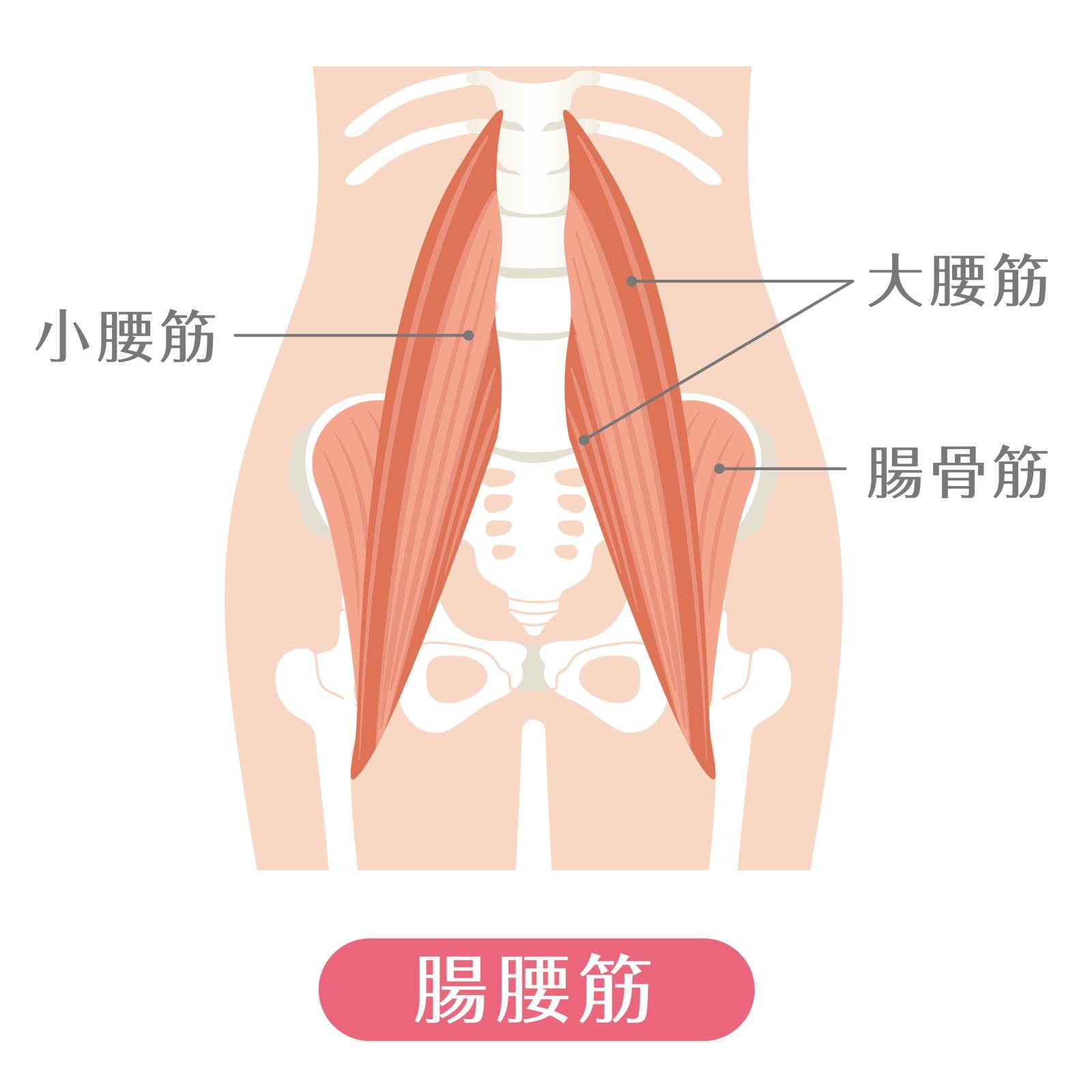 寝る前 ふくらはぎほぐし習慣 で驚くほど足が軽くなる