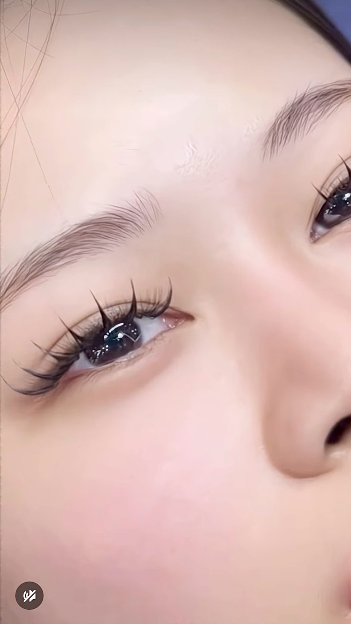 Lash bliss