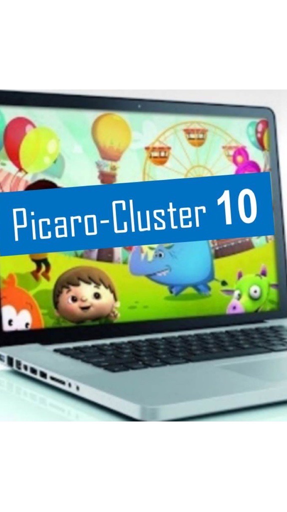 Picaro-Cluster 10