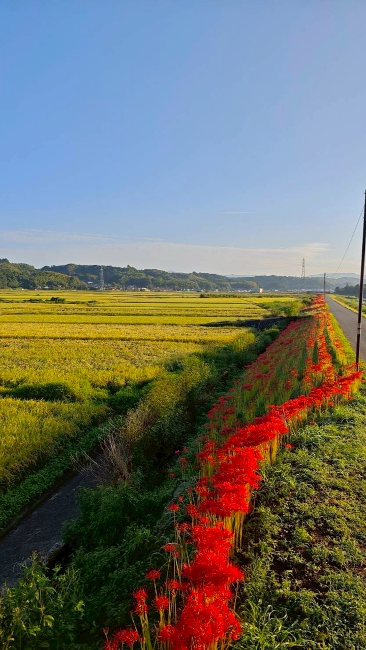 九州観光案内所
