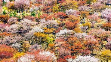 奈良的絶景３選！沉浸在大自然的美麗風景吧！
