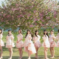 BNK48&CGM48.FC mobye