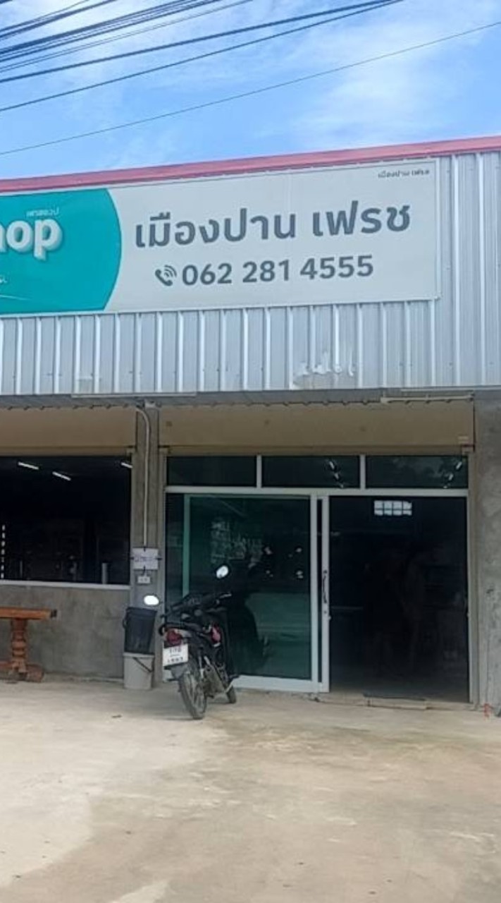 เมืองปานเฟรซอัปเดตสินค้าใหม่/ราคาส่ง