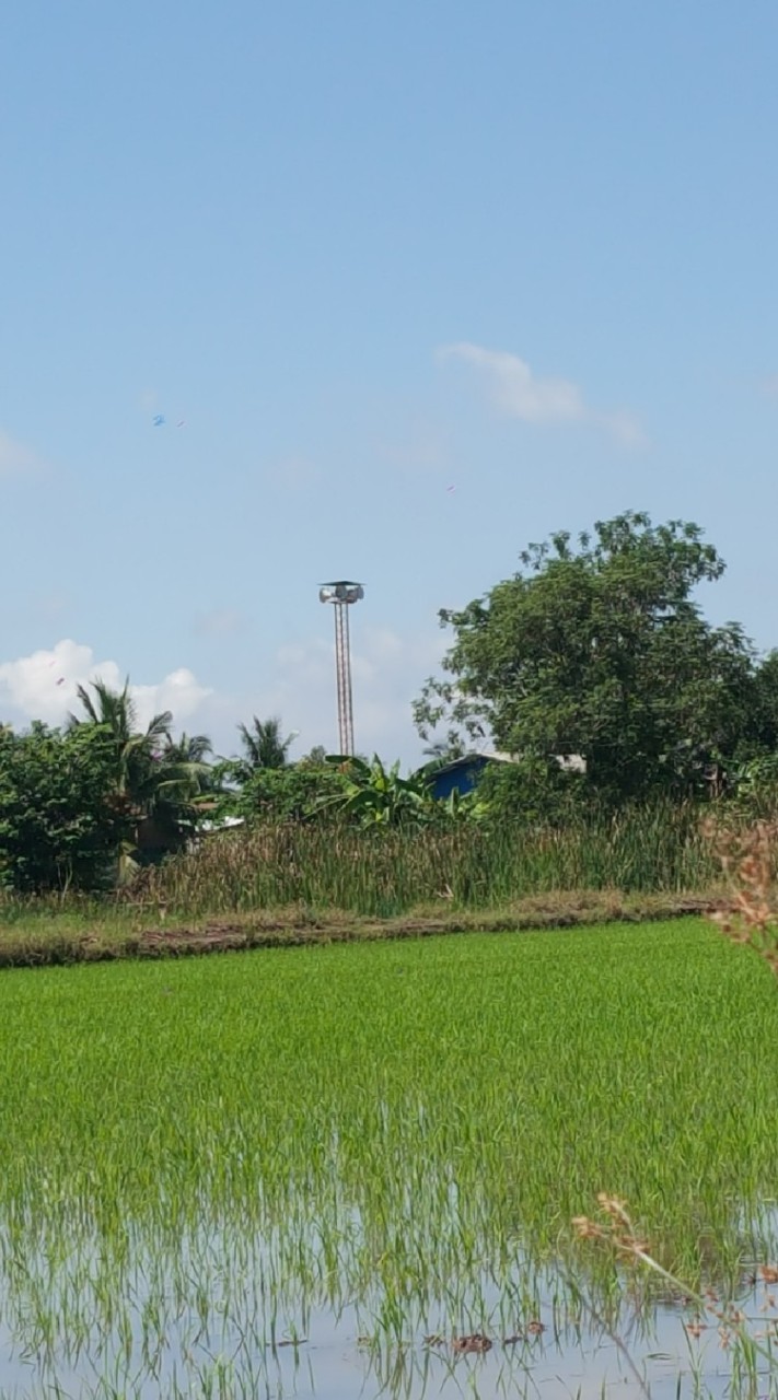 เกษตรอินทรีย์ลดต้นทุนเพิ่มผลผลิต