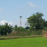 เกษตรอินทรีย์ลดต้นทุนเพิ่มผลผลิต