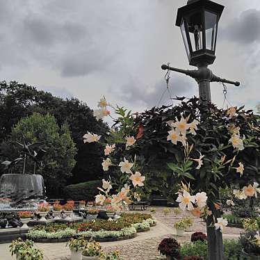 ユーザーの口コミ ふなばしアンデルセン公園 フナバシアンデルセンコウエン 金堀町 白井駅 公園 By Line Place