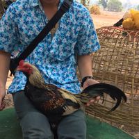 ซุ้ม รุ่งสุรพงษ์ 🙏🏻🙏🏻🙏🏻 😎.