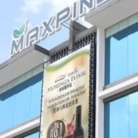 Max Pine(แม็กซ์ไพน์)