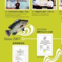 巧匠台灣鯛