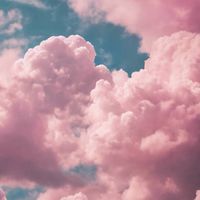 いいよいらないよ全然いらない