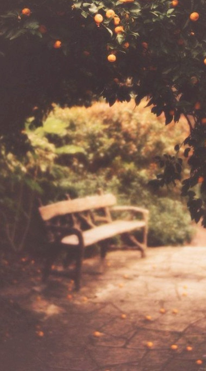 World<2025>_moDe.zip