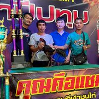 ซุ้มพยัคฆ์เมืองพรหม101🇲🇲🇯🇵