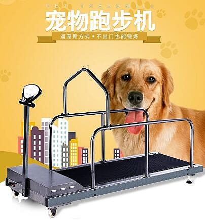 寵物跑步機狗狗跑步機犬用溜狗格力惠比特細狗動物訓練器材可信用卡3期WY