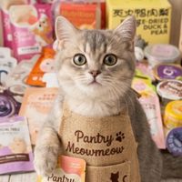 Pantry Meow:คลังเสบียงเมี๊ยว🐾