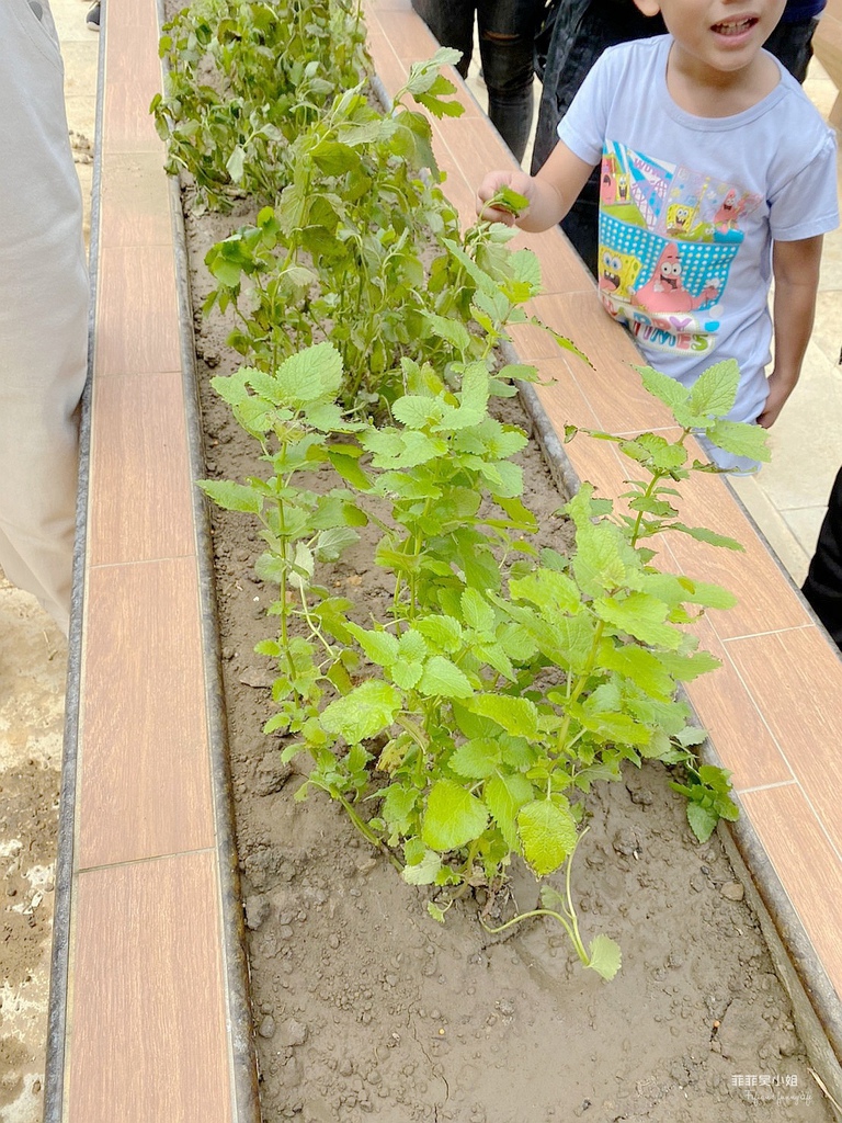 新竹寶山 新城風糖 黑糖飄香遊新城 爆漿黑糖饅頭DIY 甘蔗職人體驗