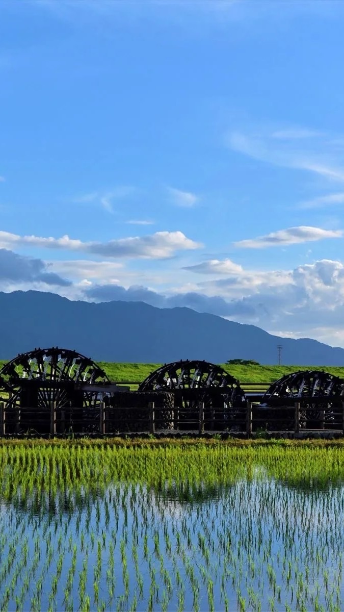 朝倉を守る会協力隊