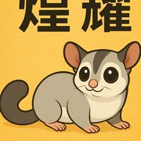煌耀-蜜袋鼯、各寵集市