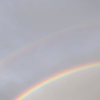 人付き合い下手・苦手&寂しがり屋【雑談】