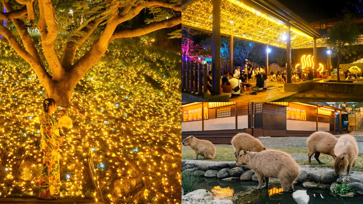 全台最南燈會「這天」登場！搶拍絕美燈海、體驗全新煮蛋池，再近距離餵水豚