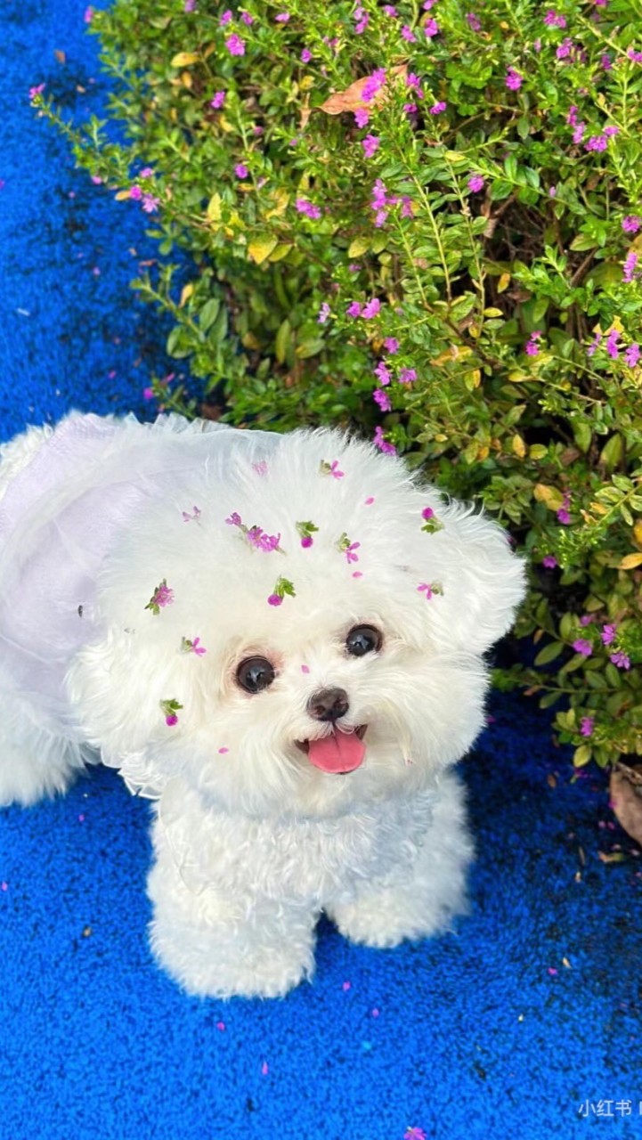 体育祭のタオル写真！