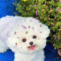 体育祭のタオル写真！