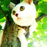 選択芸術・美術Ⅰ・木曜チーム