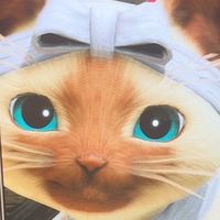 魔物獵人世界PC/Steam遊戲同樂