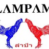 รวมข่าวสาร เจาะลึกทุกสนาม วงการไก่ชน