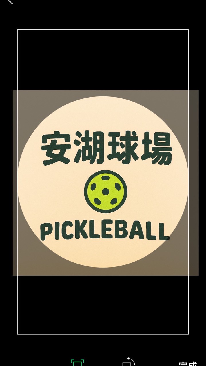 安湖匹克球平日教學/球敘