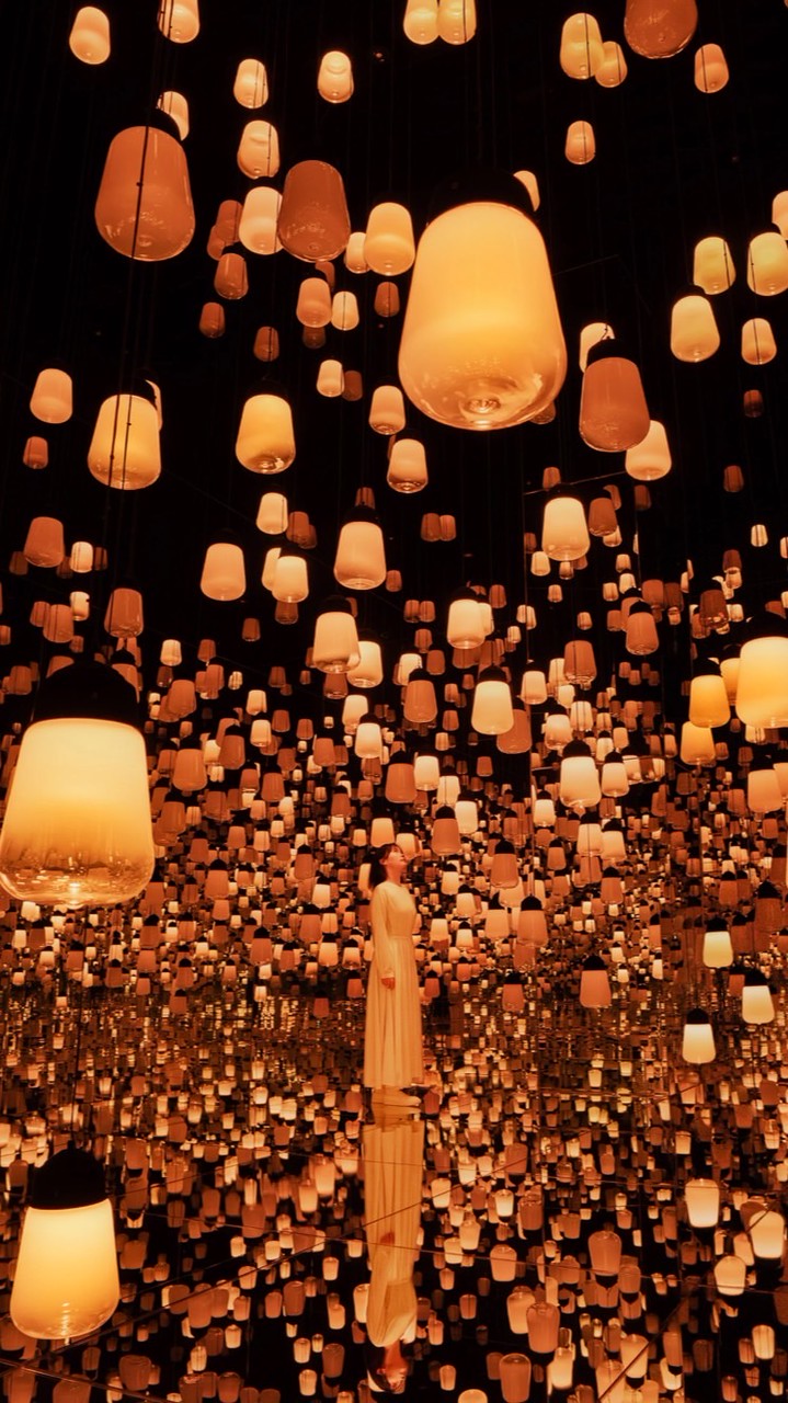 2026年　関西ブロックアクトin京都teamLab★Biovortex