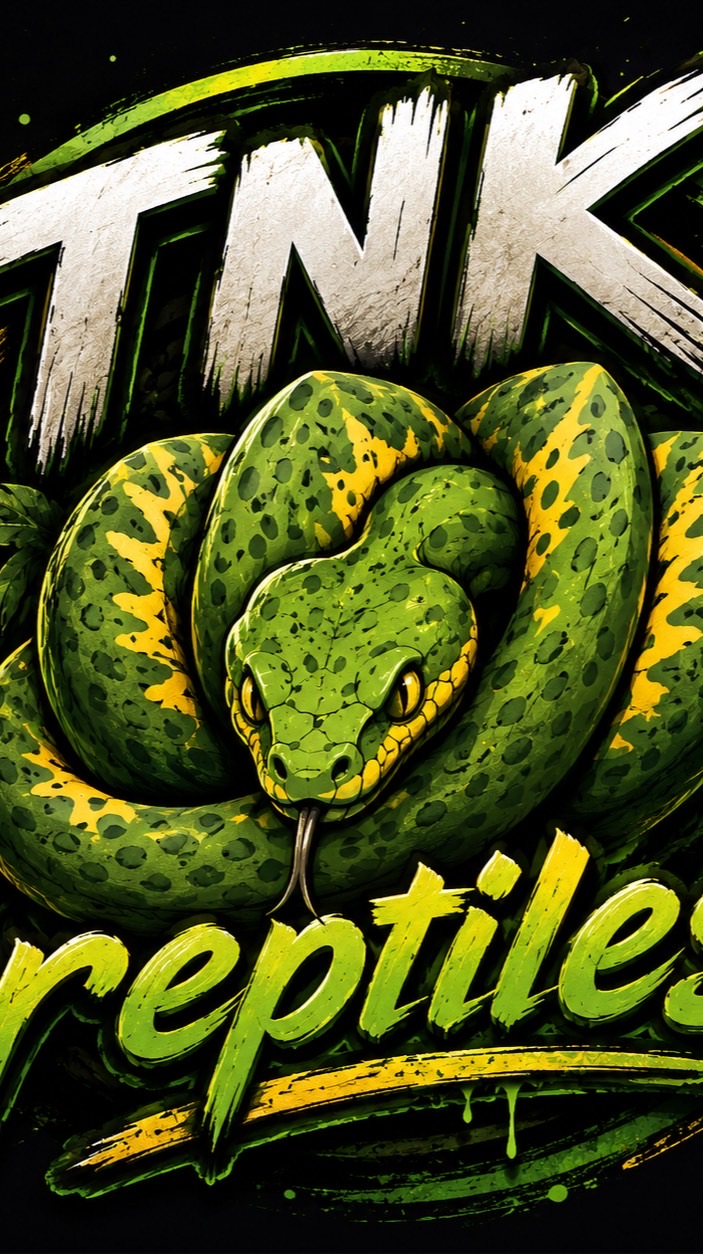 TNK reptiles