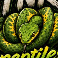 TNK reptiles